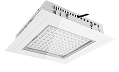 P Series Canopy Light