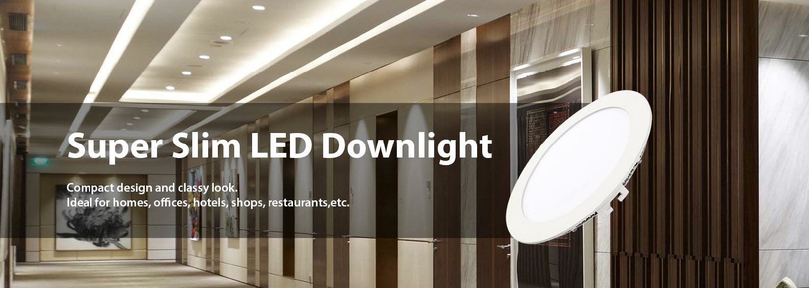 Super Slim Downlight